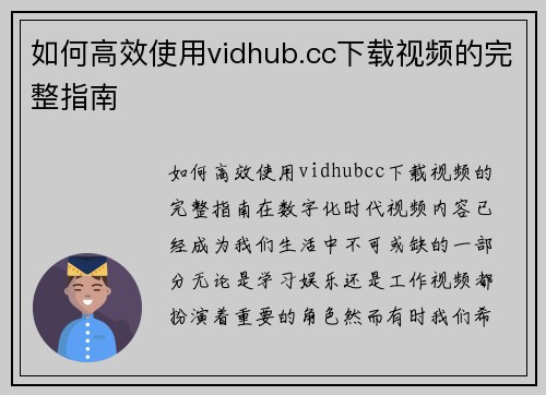 如何高效使用vidhub.cc下载视频的完整指南